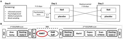 Nx4 Reduced Susceptibility to Distraction in an Attention Modulation Task